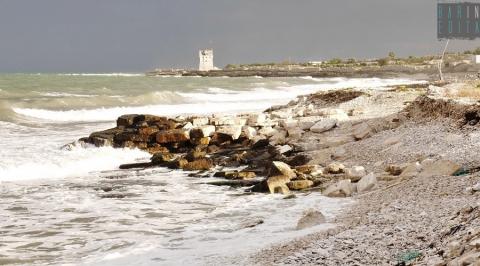 L'oasi di Torre Calderina: fra terra e mare un rifugio per piante e animali rari